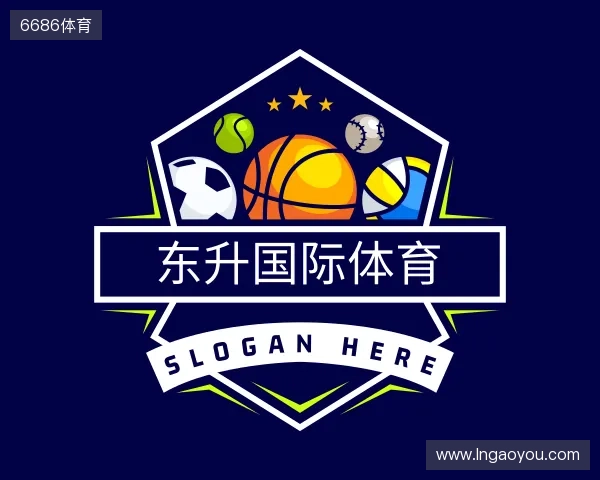 关于东升国际
